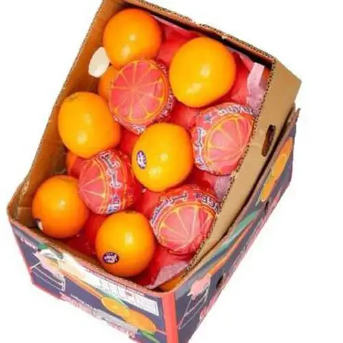 برتقال صغير