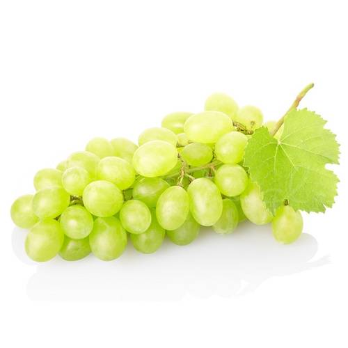 عنب ابيض