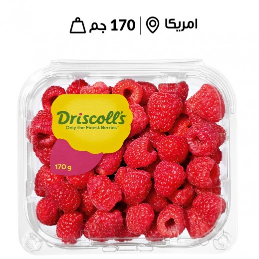 توت أمريكي احمر