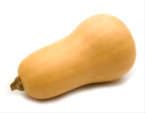 قرع أمريكي