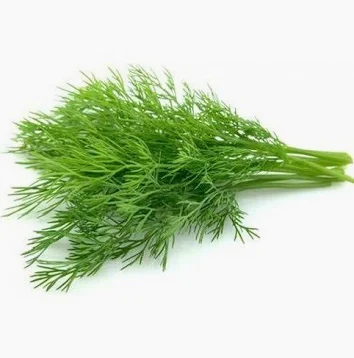 شبت
