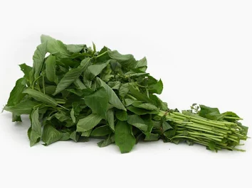 ملوخية