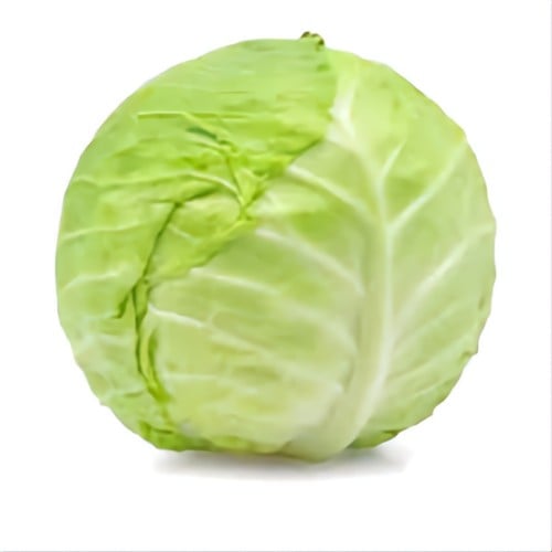 ملفوف اخضر