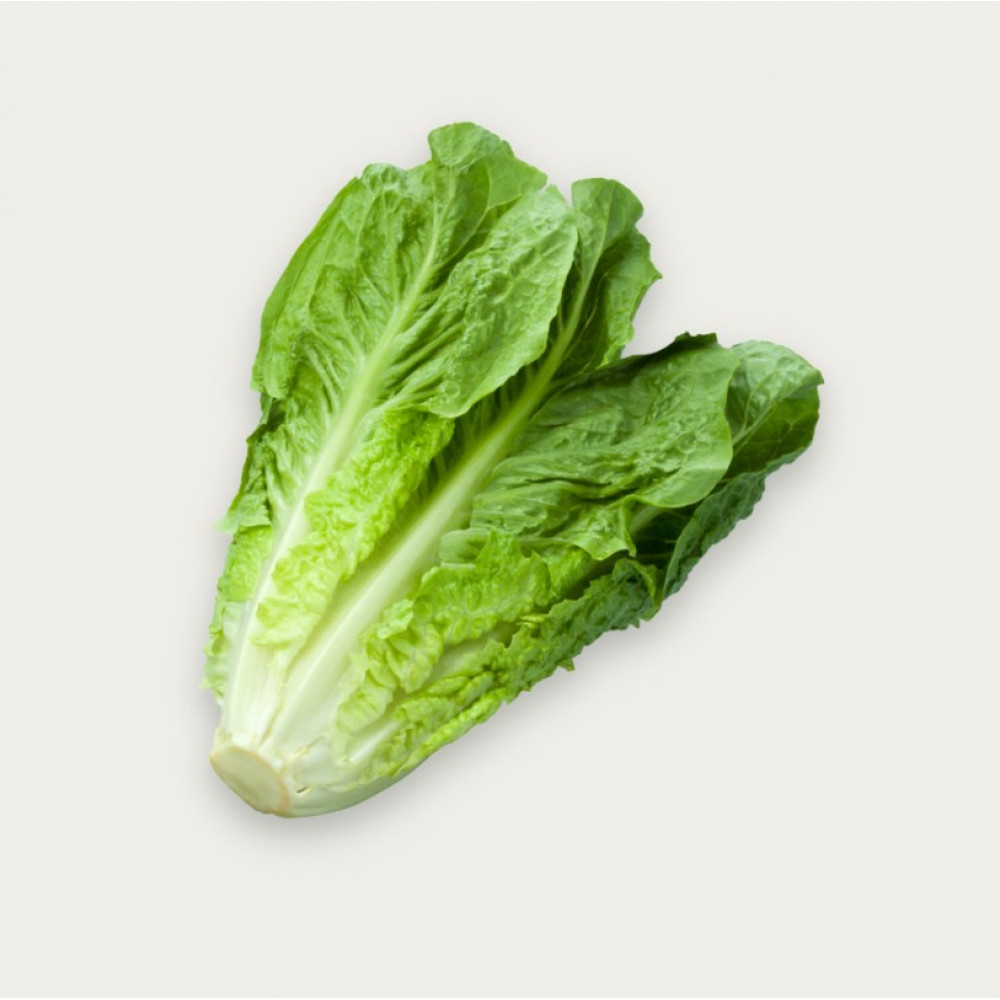 خس