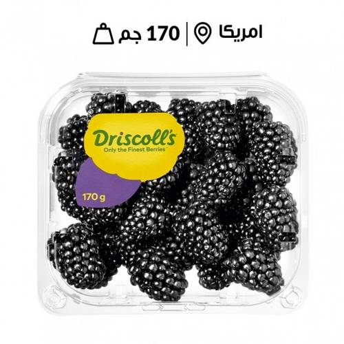 توت أمريكي اسود