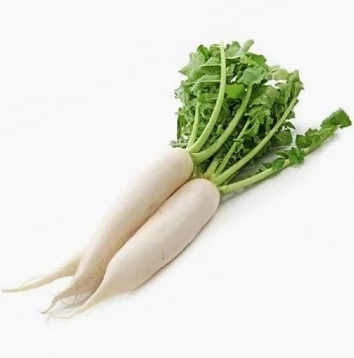 فجل ابيض